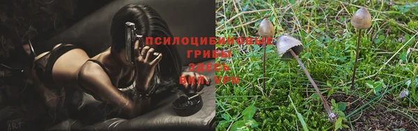 амфетамин Богородицк