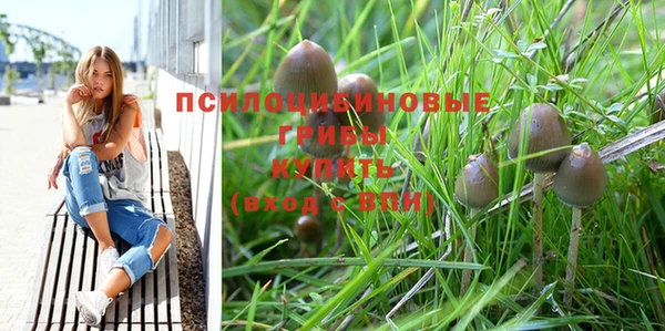 винт Белокуриха