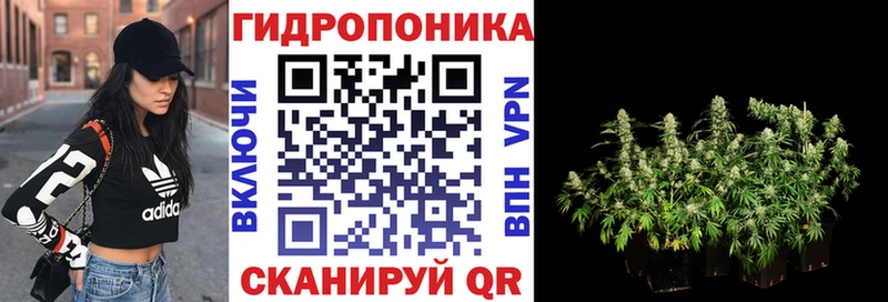 где найти   Валдай  Бошки марихуана ГИДРОПОН 